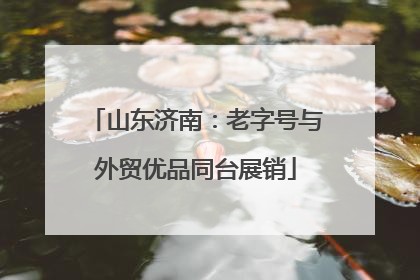 山东济南：老字号与外贸优品同台展销